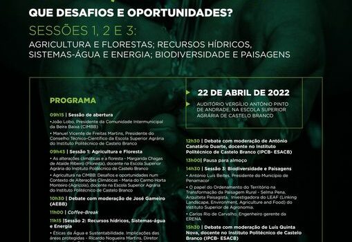 CIMBB