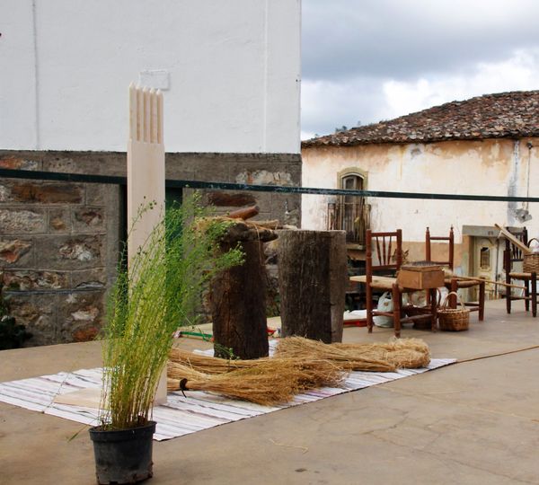 Oleiros