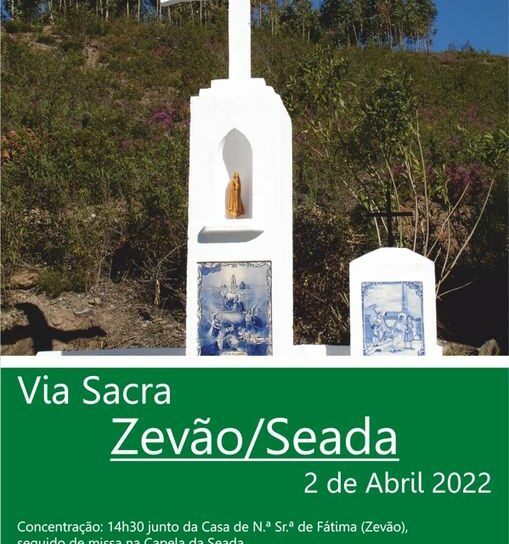 Vila de Rei