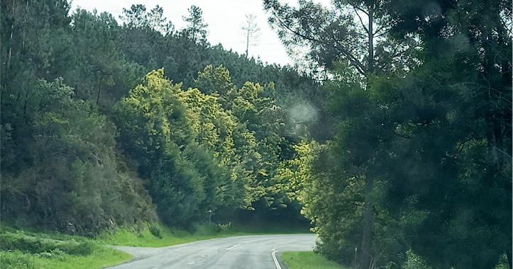 Sertã