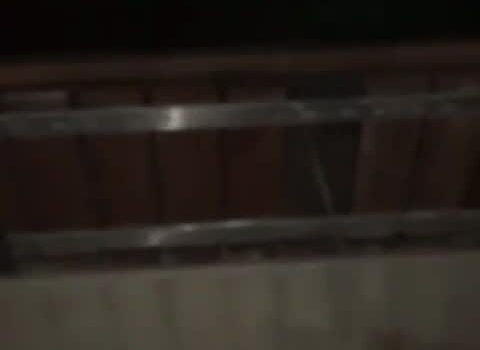 ATOS DE VANDALISMO AO PATRIMÓNIO EM ALPALHÃO