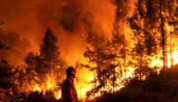 Distrito de Castelo Branco mobiliza 199 equipas, 910 operacionais e sete meios a