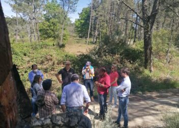 Encontro Nacional de Sapadores Florestais