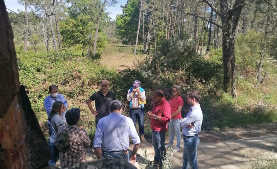 Encontro Nacional de Sapadores Florestais