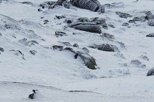 Forte nevão encerra acessos à Torre