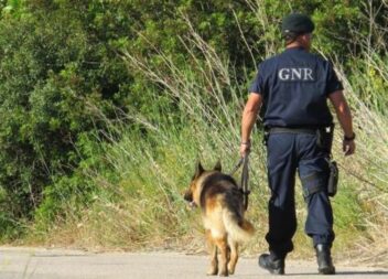 Homem desaparecido em Gavião