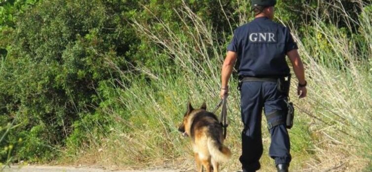 Homem desaparecido em Gavião