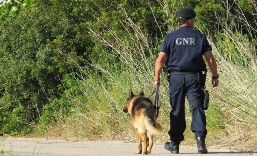 Homem desaparecido em Gavião