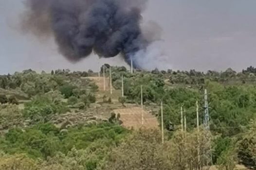 Incêndio Florestal em Sabugal