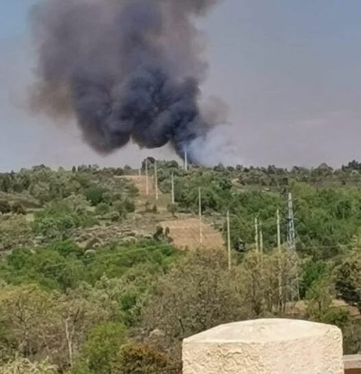 Incêndio Florestal em Sabugal