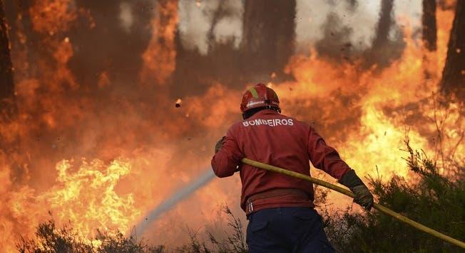 Incêndio florestal em Penha Garcia