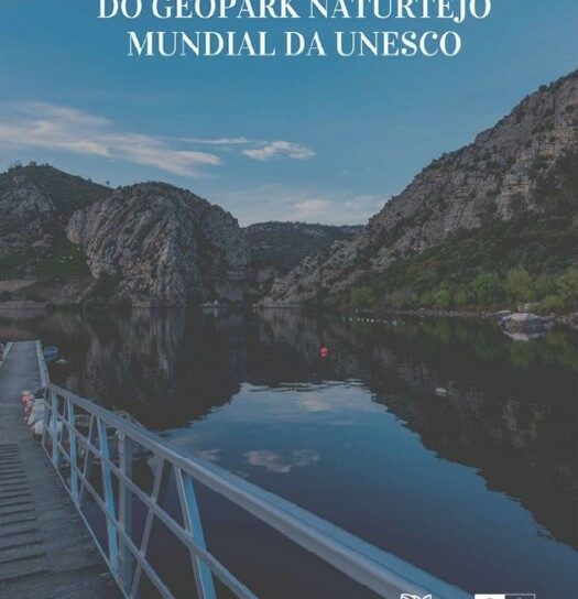 Novo livro