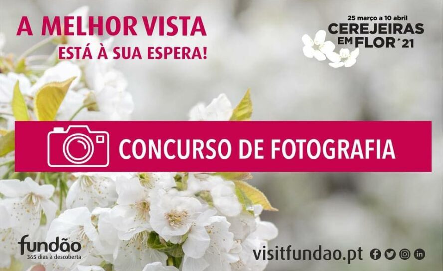 Vencedores do Concurso de Fotografia de Cerejeiras em Flor 2022: