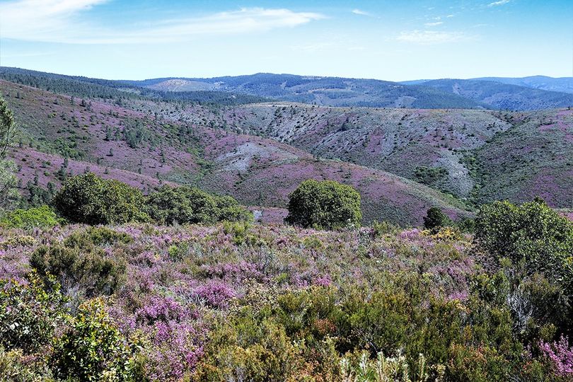 Penamacor