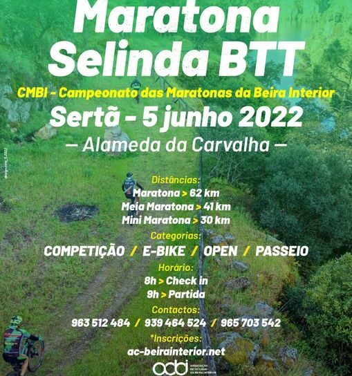 Sertã