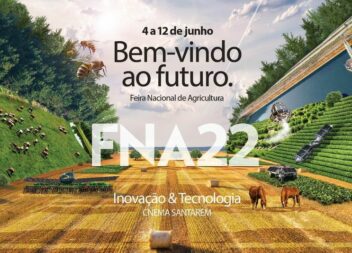 Vila de Rei