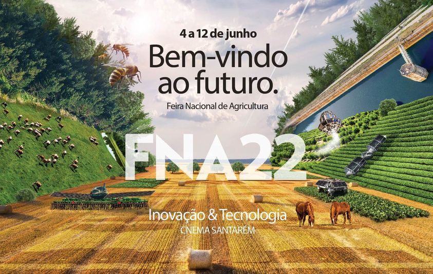 Vila de Rei