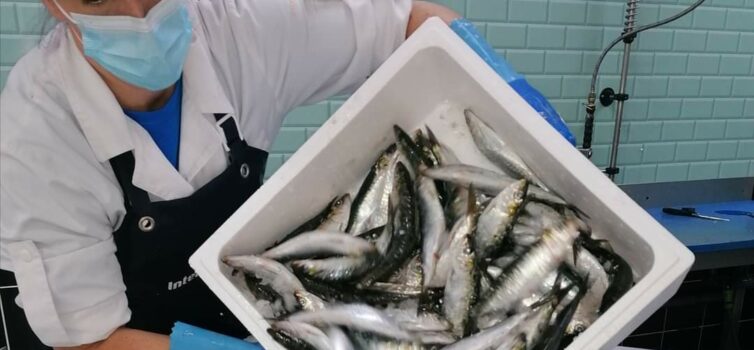 Intermarché de Proença-a-Nova