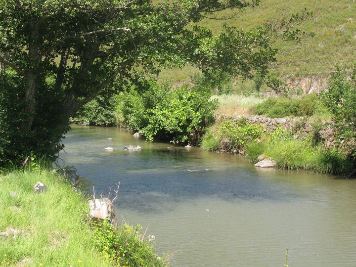 Vila de Rei