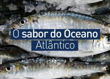 Intermarche de Proença-a-Nova