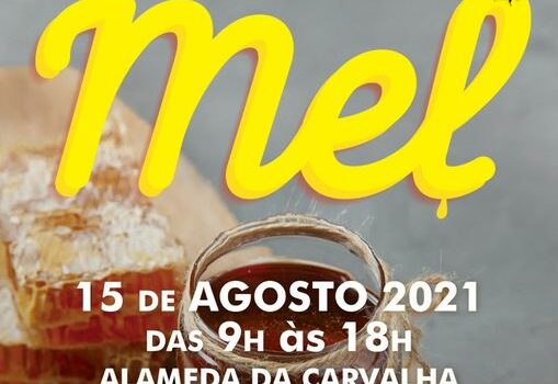Sertã
