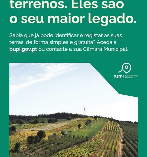 Sertã