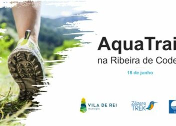 Vila de Rei