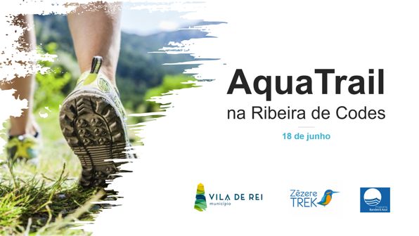 Vila de Rei