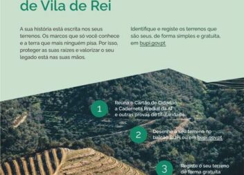 Vila de Rei