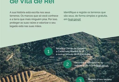 Vila de Rei