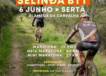 Sertã