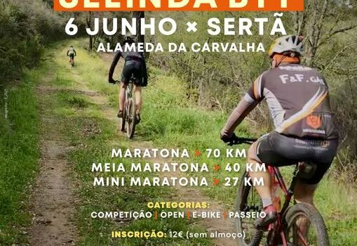 Sertã