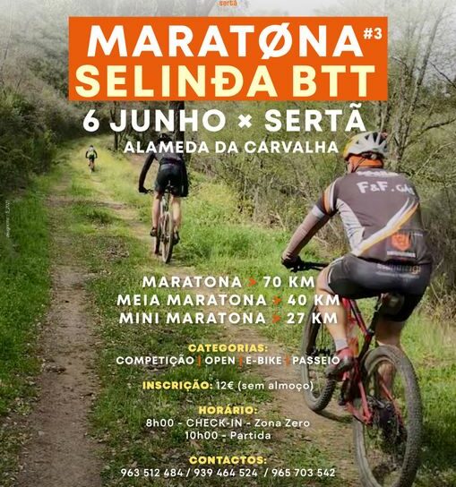 Sertã
