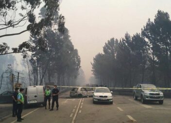 Cinco anos depois dos fogos de 17 de Junho de 2017, Pedrógão "está melhor", mas