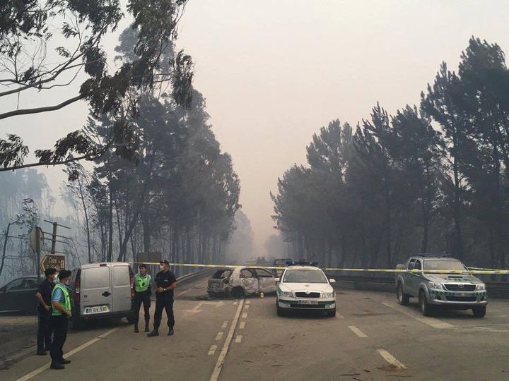 Cinco anos depois dos fogos de 17 de Junho de 2017, Pedrógão "está melhor"