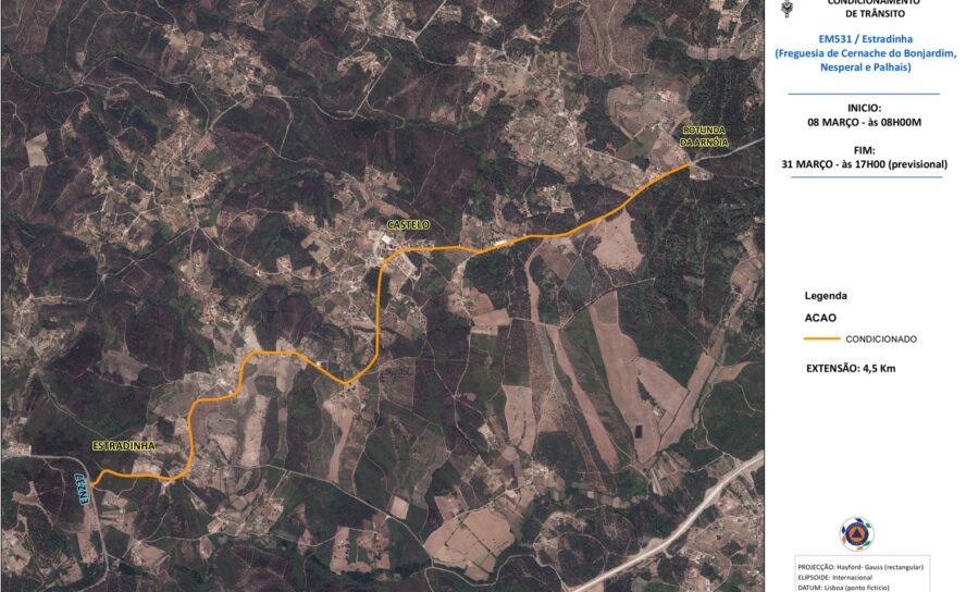 Sertã