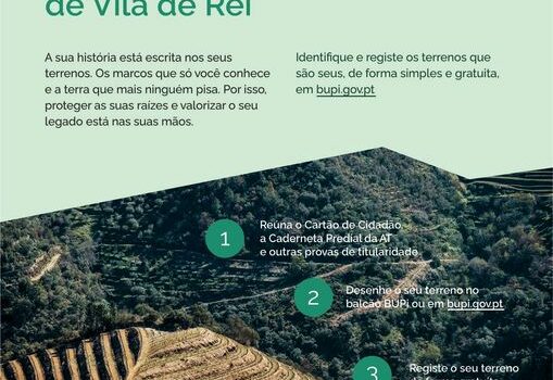 Vila de Rei