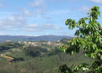 Sertã