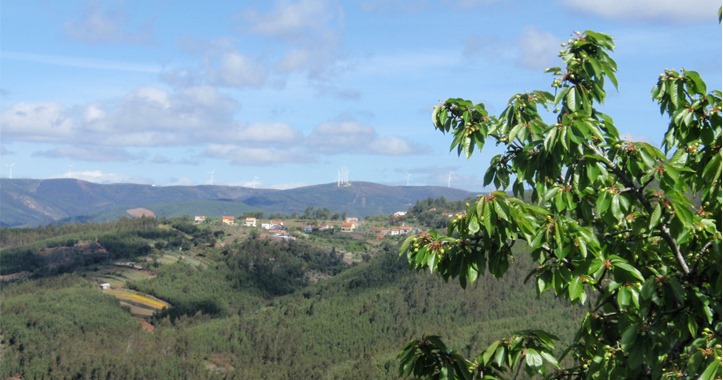 Sertã