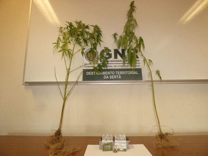 Proença-a-Nova