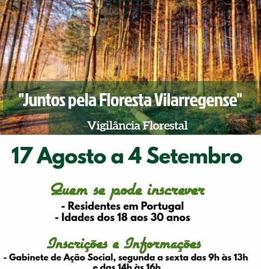 Vila de Rei