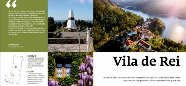 Vila de Rei