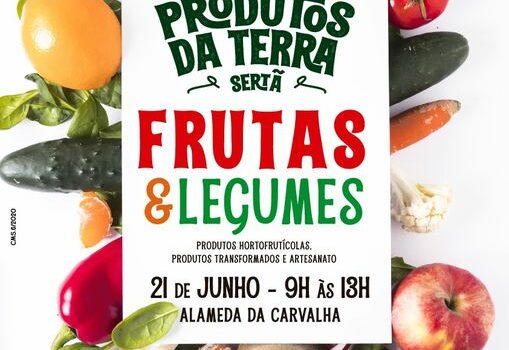 Sertã