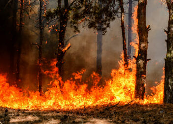 30 Bombeiros e 1 meio aéreo combatem Incêndio agricola no Fundão