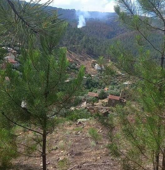 3° reacendimento do incêndio de São Vicente da Beira: 48 bombeiros e 2 meios aér