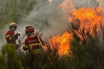 41 bombeiros e 2 meios aéreos combatem Incêndio de mato em Unhais da Serra