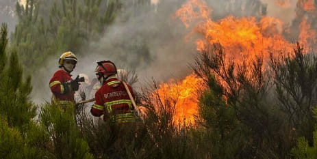 41 bombeiros e 2 meios aéreos combatem Incêndio de mato em Unhais da Serra