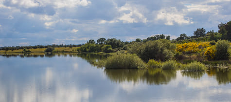 Águas do Vale do Tejo certificam qualidade da água da Barragem de Santa Águeda
