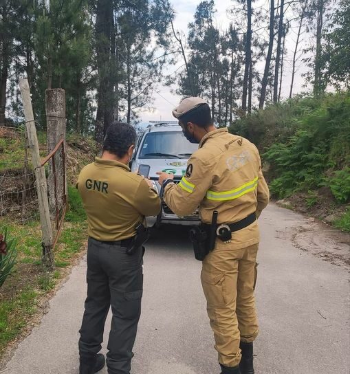 Autoridades alertam para a prevenção de incêndios florestais