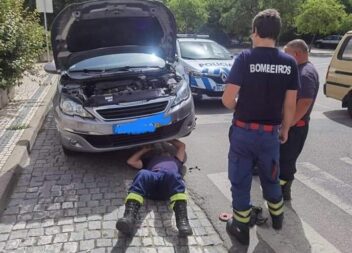 Bombeiros e PSP de Castelo Branco salvam gatinho em motor de automóvel